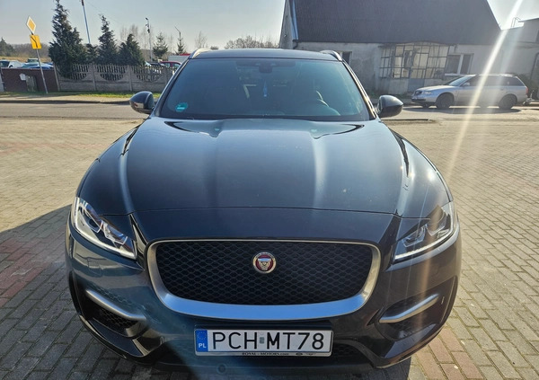 Jaguar F-Pace cena 109900 przebieg: 112000, rok produkcji 2017 z Szamocin małe 254